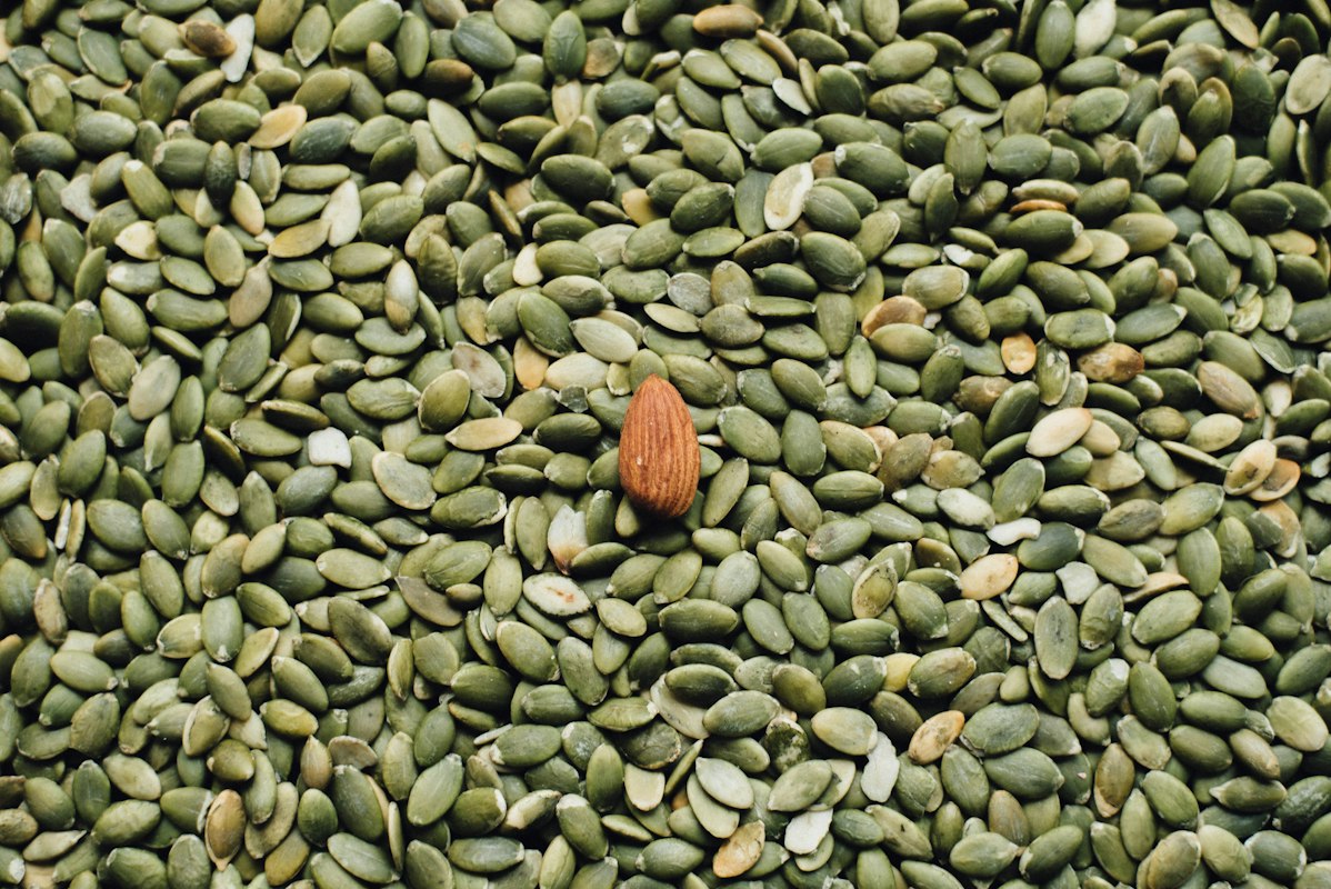 Frutos secos y semillas
